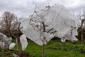 plants covered with agrofilm, protecting trees and bushes from spring frosts, protecting flowering bushes during low temperatures