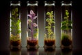 Plants cultured in laboratory tubes. Alternatice and future food concept. generative Ai