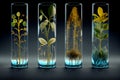 Plants cultured in laboratory tubes. Alternatice and future food concept. generative Ai