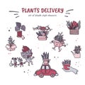 Plants delivery cartoon doodle sttle hand drawn illustrations set. Sansevieria, cactus, monstera