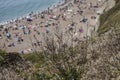 Plants on the edge of a cliff, Durdle Door. Royalty Free Stock Photo