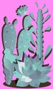 Plants.Esculenta.Cactuses.flat style with gradients.Vector illustration