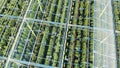 Plants filmed through the glasslike warmhouse roof. Greenhouses aerial view, epic view on industrial glasshouse.