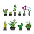 Plants,flowers and cactus in pots,nature elements,isolated on white background Royalty Free Stock Photo