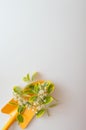 Plants and flowers on a dig in one corner of the photo with a large copy space on a white background. Garden concept still life. Royalty Free Stock Photo