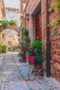 Plants and flowers in front of houses in Spello, Italy