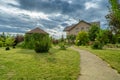 Plants and flowers in the garden of a country house summertime Royalty Free Stock Photo