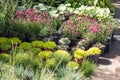 Plants, flowers and herbs in the garden market on the floor in pots. Large selection of seedlings Royalty Free Stock Photo