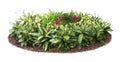 Cut out flowerbed. Garden design. Royalty Free Stock Photo
