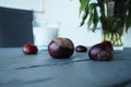 Plants and flowers of Jerusalem artichoke in a vase. Chestnut fruits on the table. Table and chairs on the balcony or Royalty Free Stock Photo