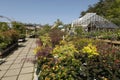 Plants and flowers on sale at a garden centre. Cornwall, UK