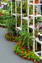 Plants and flowers on a shelf inside