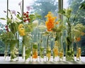 Plants and flowers are in test tubes.