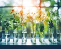 Plants and flowers are in test tubes. Royalty Free Stock Photo