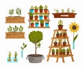 Planting vegetables and trees plants and flowers Royalty Free Stock Photo