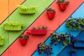 Plants and flowers in wooden and plastic pots on colorful painted background. Green wall, eco friendly vertical garden Royalty Free Stock Photo