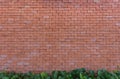 Plants front of brick wall background