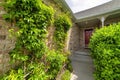 Plants at the front of the entrance of a house with bricks