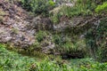 Plants in front of Fern Grotto at bottom of cliff near Kamokila Village, Kauai, Hawaii, USA Royalty Free Stock Photo