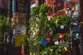 Plants in front of a flower gift shop in Flushing Chinatown