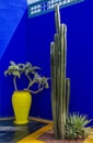 The Majorelle Garden, Jardin Majorelle. Marrakech, Morocco. Plants and furnishing elements, architecture of outdoor spaces