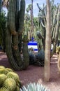 The Majorelle Garden, Jardin Majorelle. Marrakech, Morocco. Plants and furnishing elements, architecture of outdoor spaces