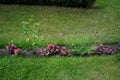 Beds of blooming flowers decorate Sanssouci Park in July. Potsdam, Germany Royalty Free Stock Photo