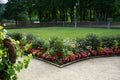 Beds of blooming flowers decorate Sanssouci Park in July. Potsdam, Germany Royalty Free Stock Photo