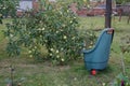 Garden trolley or Garden Wheelbarrow stands in an autumn garden in September near an apple tree. Berlin, Germany Royalty Free Stock Photo