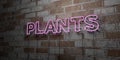 PLANTS - Glowing Neon Sign on stonework wall - 3D rendered royalty free stock illustration