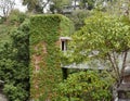 Plants grow on the building in Jao Tsung I Academy Royalty Free Stock Photo