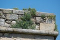 Plants growing in cracks in old stone wall of Napoleonic fort in Povoa de Varzim, Portugal Royalty Free Stock Photo