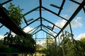 Plants growing inside a greenhouse glasshouse on shelves Royalty Free Stock Photo