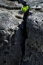 Plants Growing Out of Rocks Showing Fortitude and Persistence Royalty Free Stock Photo