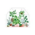 Plants growing in pots or planters inside glass greenhouse.