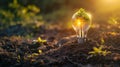 Plants growing in soil within a light bulb. Innovative ideas for earth day or preserving the environment Royalty Free Stock Photo