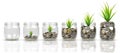 Plants growing on stacks of coins in glass jars isolated on white background. Money, saving, bussiness and investment concept. Royalty Free Stock Photo