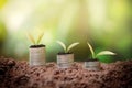 Plants growing up on stack of coins Royalty Free Stock Photo