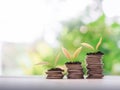 Plants growing up on stack of coins. The concept of saving money, Financial, Investment and Business growing Royalty Free Stock Photo