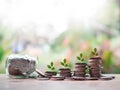 Plants growing up on stack of coins. The concept of saving money, Financial, Investment and Business growing Royalty Free Stock Photo