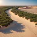 Plants are grown on top small dune mountains at sealine. Royalty Free Stock Photo