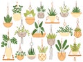 Plants in hanging pots. Decorative macrame handmade hangers for flower pot, hang indoor plants isolated vector set Royalty Free Stock Photo