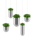 Plants in hanging pots isolated on white Royalty Free Stock Photo