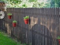 Potted plants on fence early morning