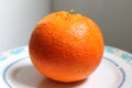 Citrus fruits - Tarocco orange - Italy Royalty Free Stock Photo