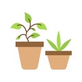Plants icon vector image. Royalty Free Stock Photo