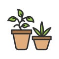Plants icon vector image. Royalty Free Stock Photo