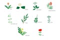 Plants icons collection Royalty Free Stock Photo