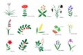 Plants icons collection Royalty Free Stock Photo