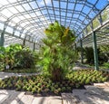 A footpath through one of the halls with flowers and plants in David Welch Winter gardens, Duthie park, Aberdeen